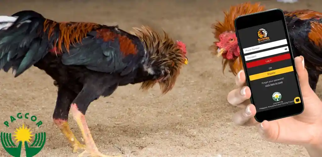Thomo Sabong – The Ultimate Cockfighting Championship!